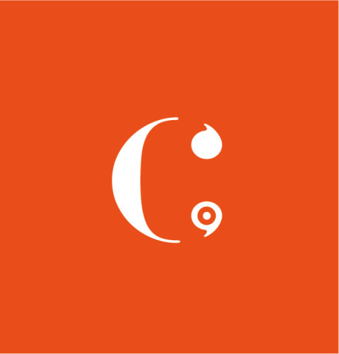 Beeldmerk business volvlak oranje