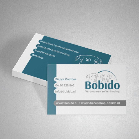 Bobido visit 2